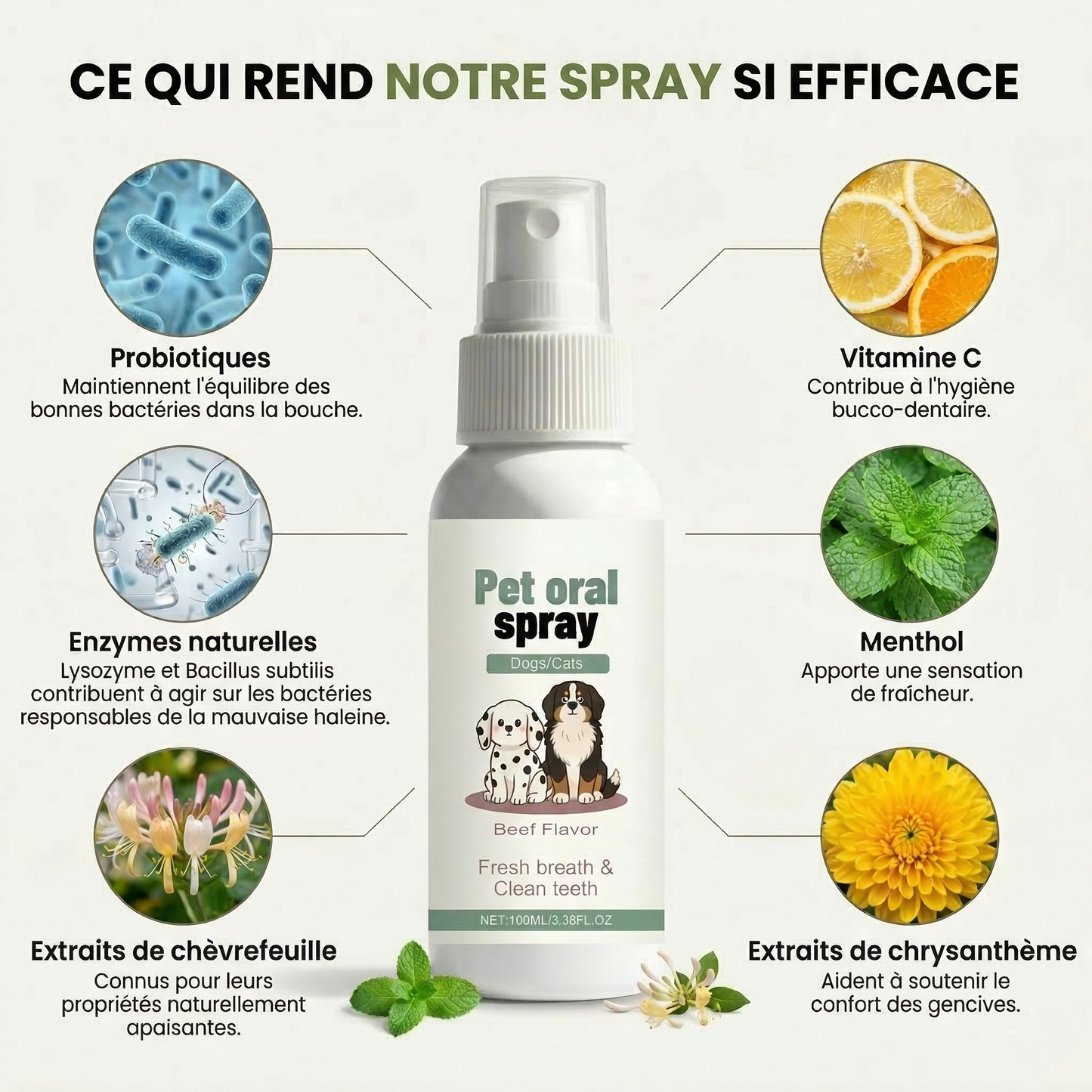 Spray dentaire aux probiotiques pour chiens et chats