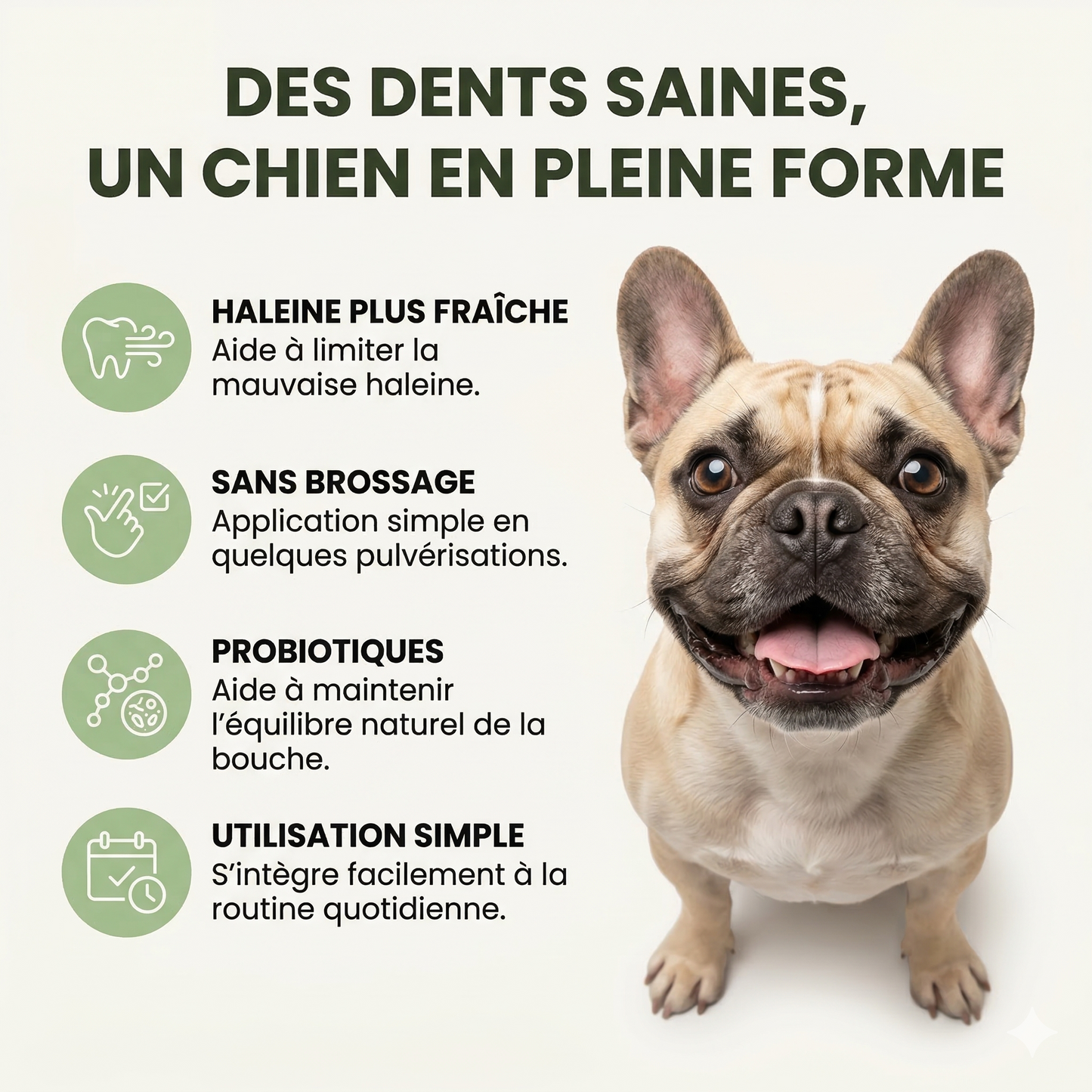 Spray dentaire aux probiotiques pour chiens et chats